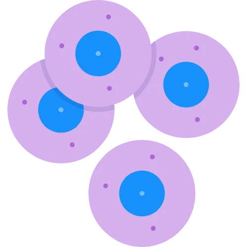 Stem Cell Treatments